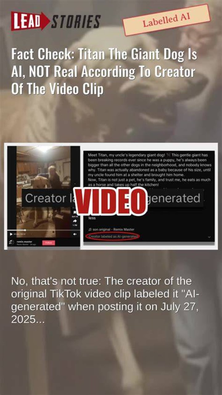 Fact Check Is the Giant of Kandahar of 1923 real or fake? Viral