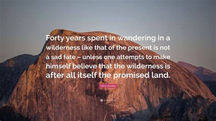 Forty Years In The Wilderness, Sue Sandidge 9781413495485 Boeken