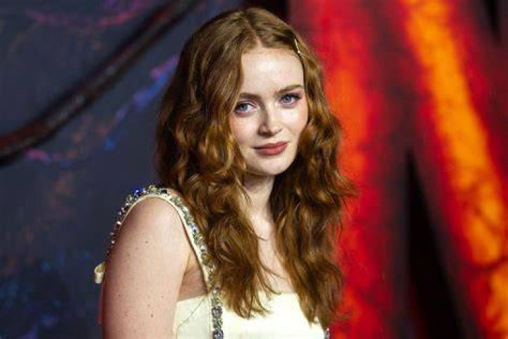 Get to Know Sadie Sink's Parents and Siblings