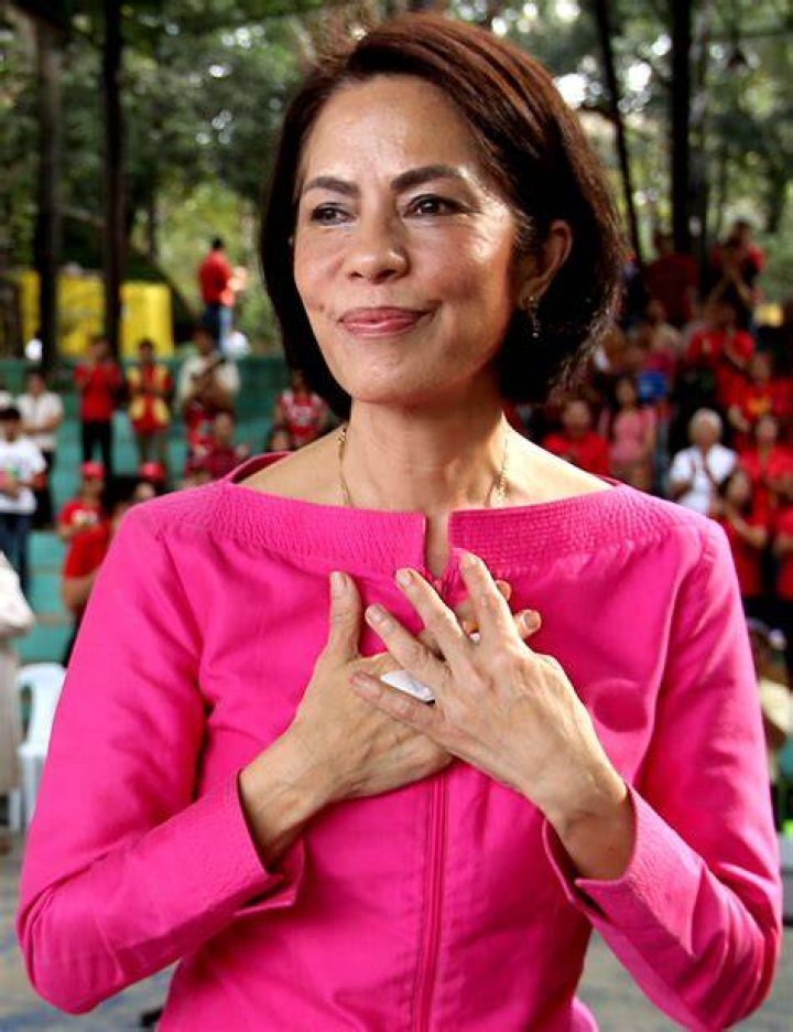 Gina Lopez Breaking the norm, she made friends and foes Inquirer News