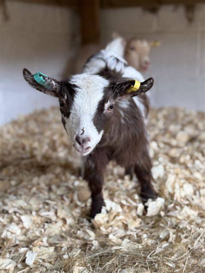 &lsquo;GOAT With Little One&rsquo; Viral Photo Featuring Young Icon Lamine Yamal
