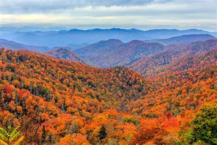 Great Smoky Mountains National Park named most popular national park