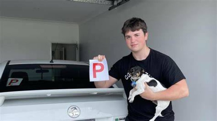 Harrison Payne Car Accident Linked To Death Cause