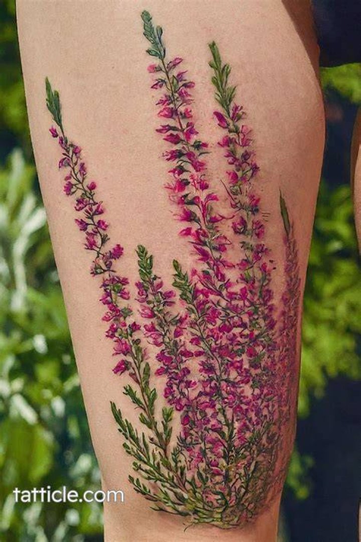 Heather Fleck Tattoo Meaning, What You Didn't Know About Pj Fleck Wife