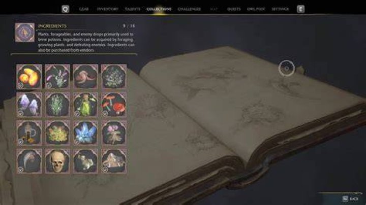 Hogwarts Legacy Potion Guide Ingredients & Herbology Gaming News