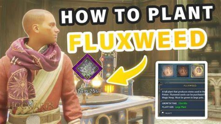 How to grow Fluxweed in Hogwarts Legacy Gamepur