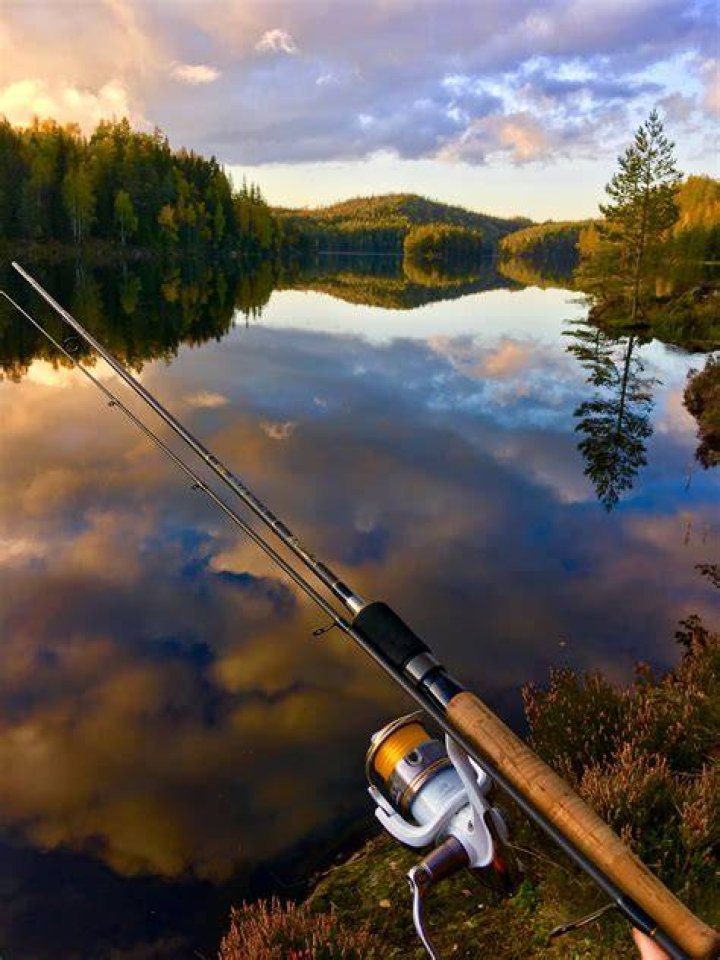 H&oslash;stfiske etter Abbor og Lake. Osloomr&aring;det Fiskersiden
