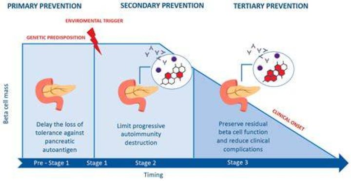 IJERPH Free FullText Prevention of Type 1 Diabetes in Children A