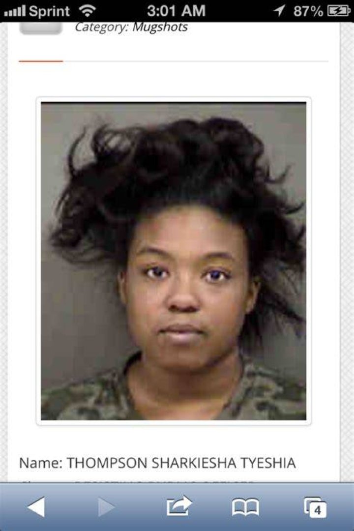 [Image 649836] Sharkeisha Fight Video Know Your Meme