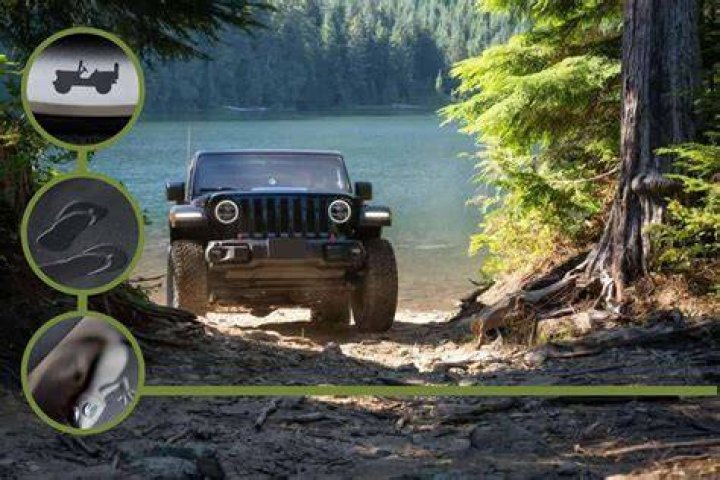 Introducir 39+ imagen hidden animal on jeep wrangler Thptnganamst.edu.vn