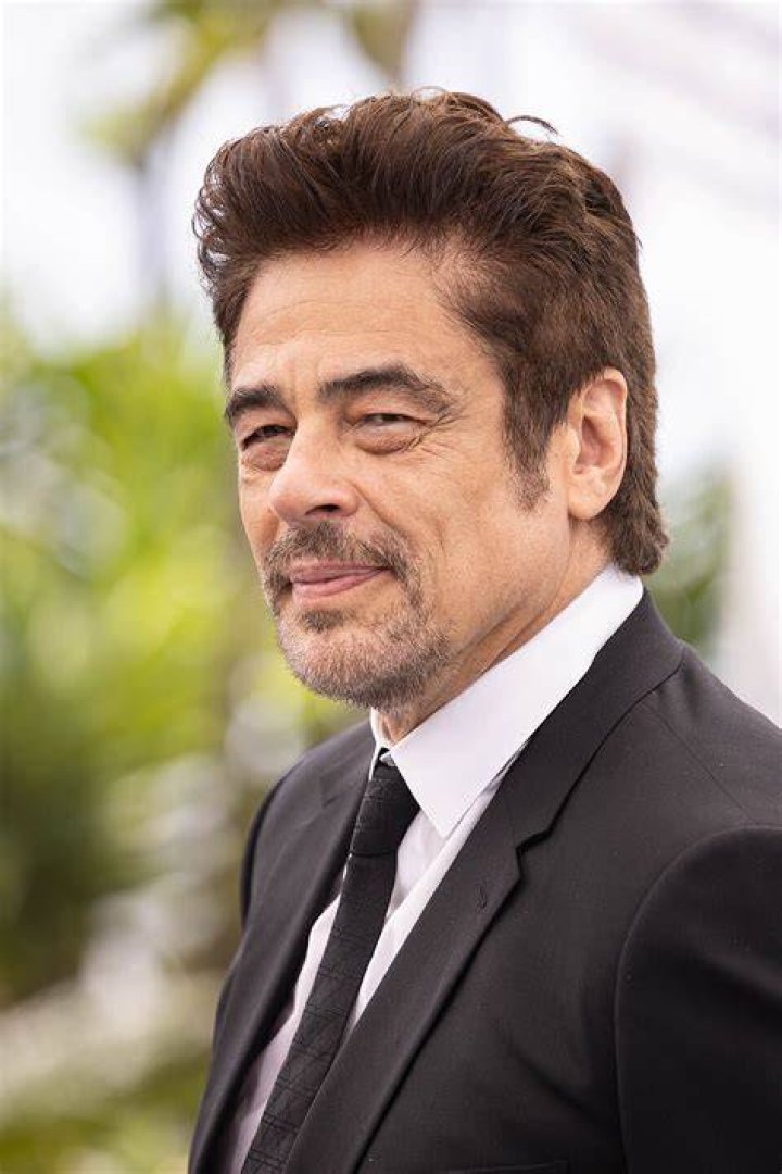 Is Benicio Del Toro Related to Guillermo Del Toro? Who are Benicio Del