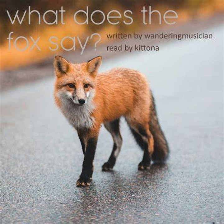 Is What Does the Fox Say Singer Ylvis Dead? Bård Ylvisåker Funeral