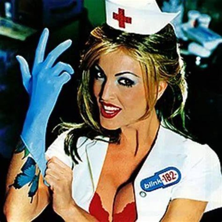 Janine Lindemulder, Blink182 Album Cover Model, Then And Now (PHOTOS