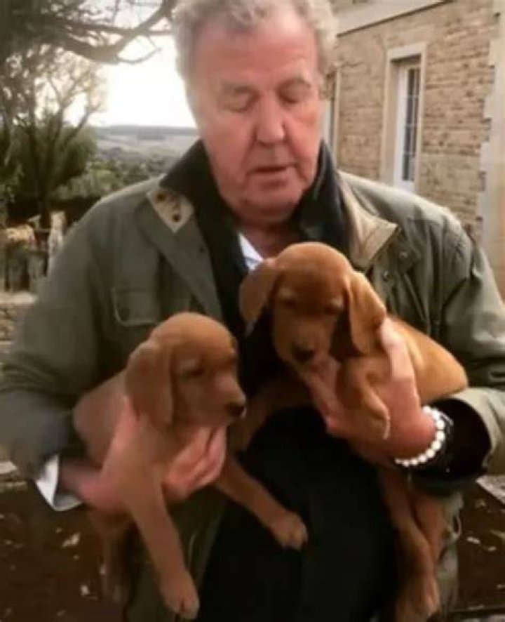 Jeremy Clarkson Pets Celebrity Pets