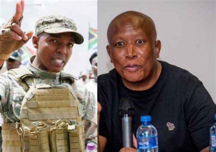 Julius Malema vs Nhlanhla Lux Which politician has more money?