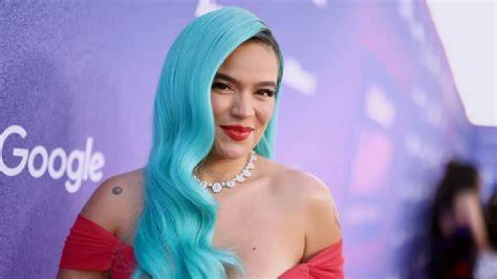 Karol G Net Worth 2023 Singer Career Home Cars vrogue.co