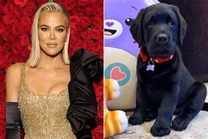 Khloe Kardashian Got The Sweetest Valentine's Day Thanks To Rob