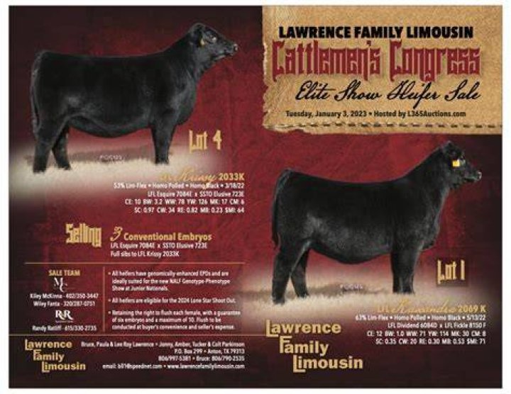 Lawrence Family Limousin Cattlemen&rsquo;s Congress Online Bull Sale