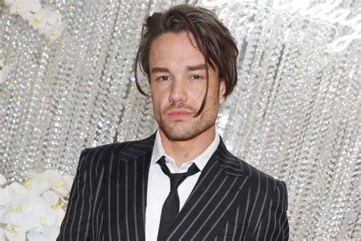 Liam Payne Apologizes for One Direction Criticism, Admits Comments Were