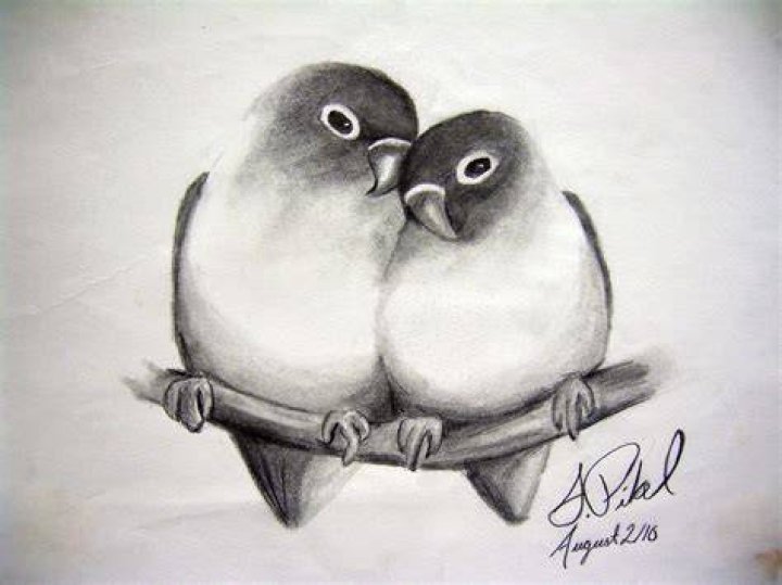 Love Beautiful Art Pencil Drawings Download Free Mockup