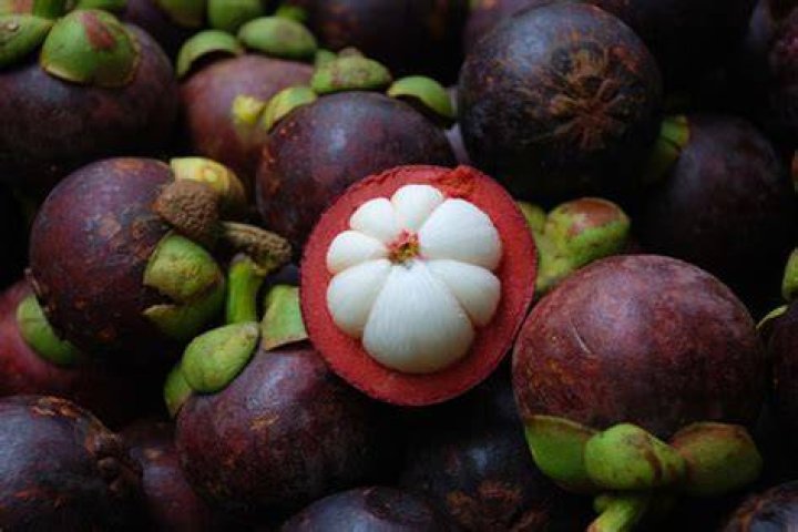 Mangosteen The Queen of fruits Philippine Morning Post