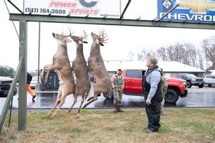 Marshall Matthews MI Buck Pole