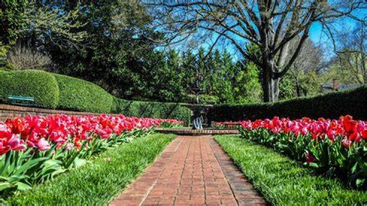 Memorial Garden Explore Cabarrus