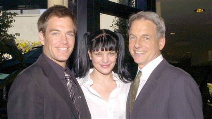 Michael Weatherly or Mark Harmon Which ‘NCIS’ Star Has the Higher Net