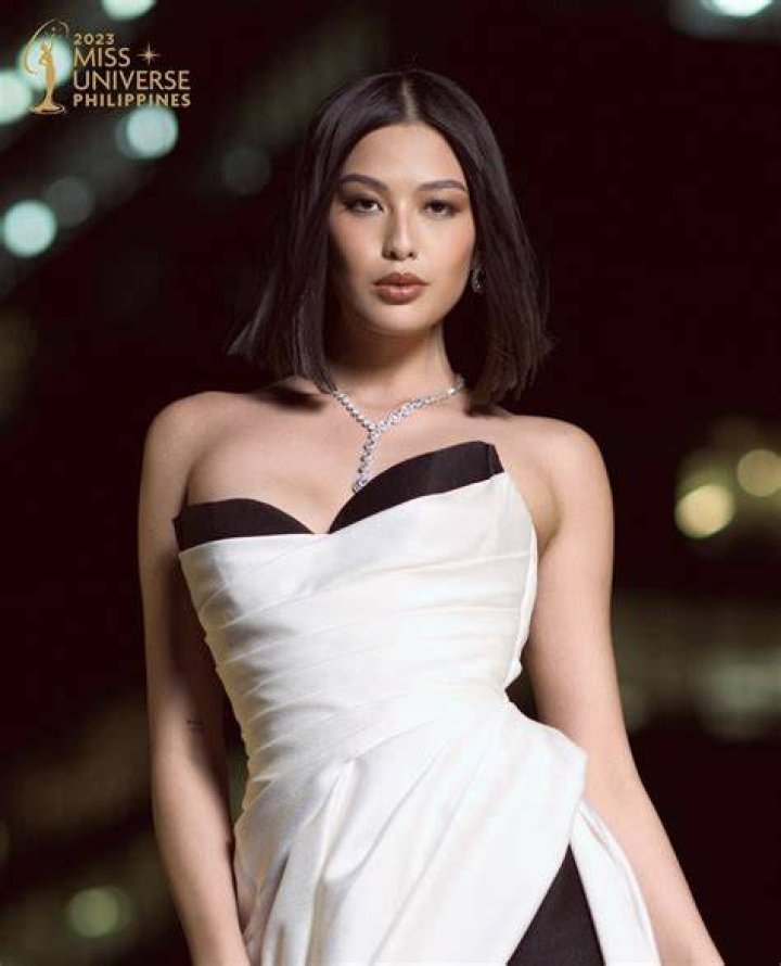 Michelle Dee on 'next Catriona' tag 'Don't believe in being the next