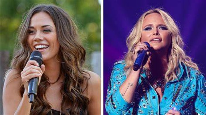 Miranda Lambert concert selfie incident sparks debate