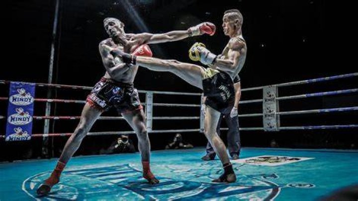 Muay Thai Kickboxing Combat Sport Mixed Martial Arts PNG, Clipart, Arm