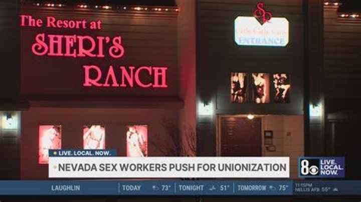 Nevada sex workers return to brothels, making up for lost time Las