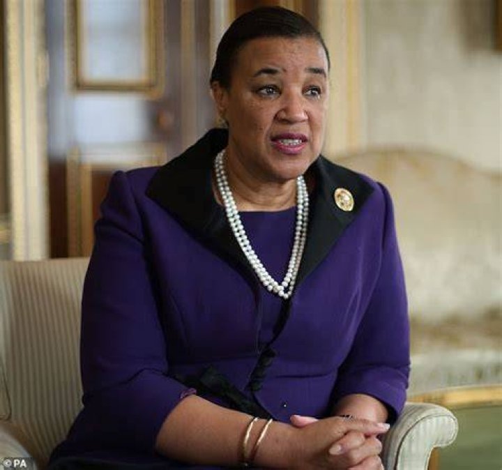 New spat over woman dubbed 'Baroness Shameless' as she bids for second