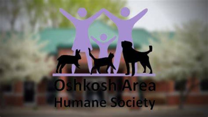 Oshkosh Area Humane Society takes in over 55 cats, 18 from single