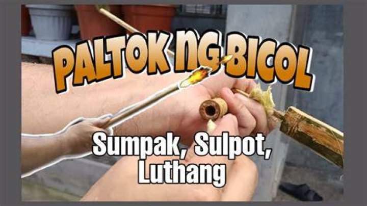 PALTOK Meaning in English Filipino to English Translation
