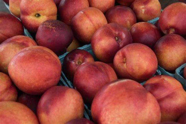 Peaches Free Stock Photo Public Domain Pictures
