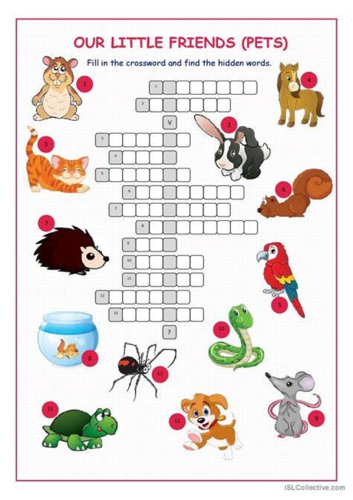 Pets crossword English ESL worksheets pdf & doc