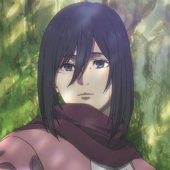 Pin by cjtgamestuff on Mikasa Jess & Pansy nik Kiko mizuhara