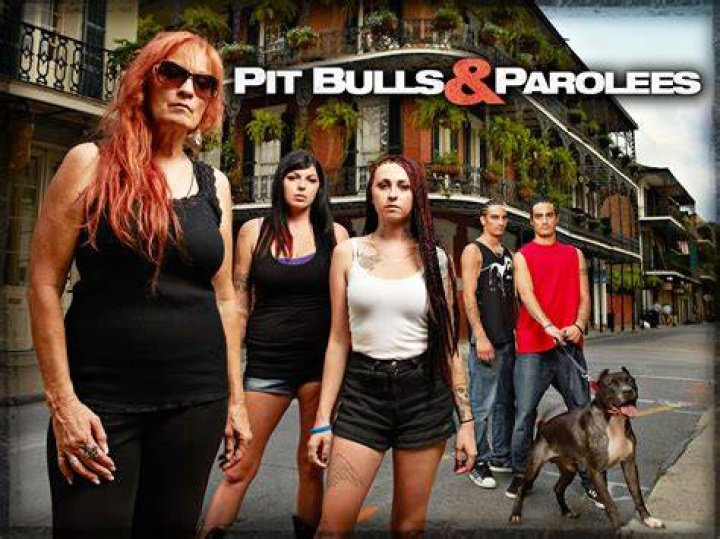 Pit Bulls and Parolees, Season 8 release date, trailers, cast, synopsis