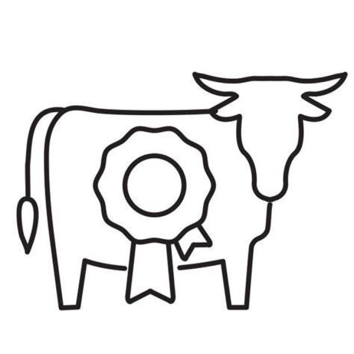 Prize Cow Free Stock Photo Public Domain Pictures