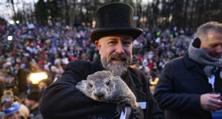 Punxsutawney Phil Is on Cameo Mental Floss