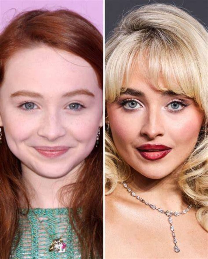 Sabrina Carpenter Plastic Surgery Before After, Breast Implants