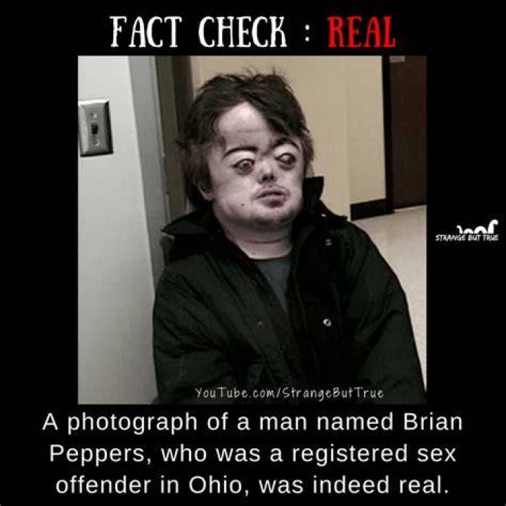 Sex Offender Brian Peppers Bio, Crimes & New Net Worth 2022