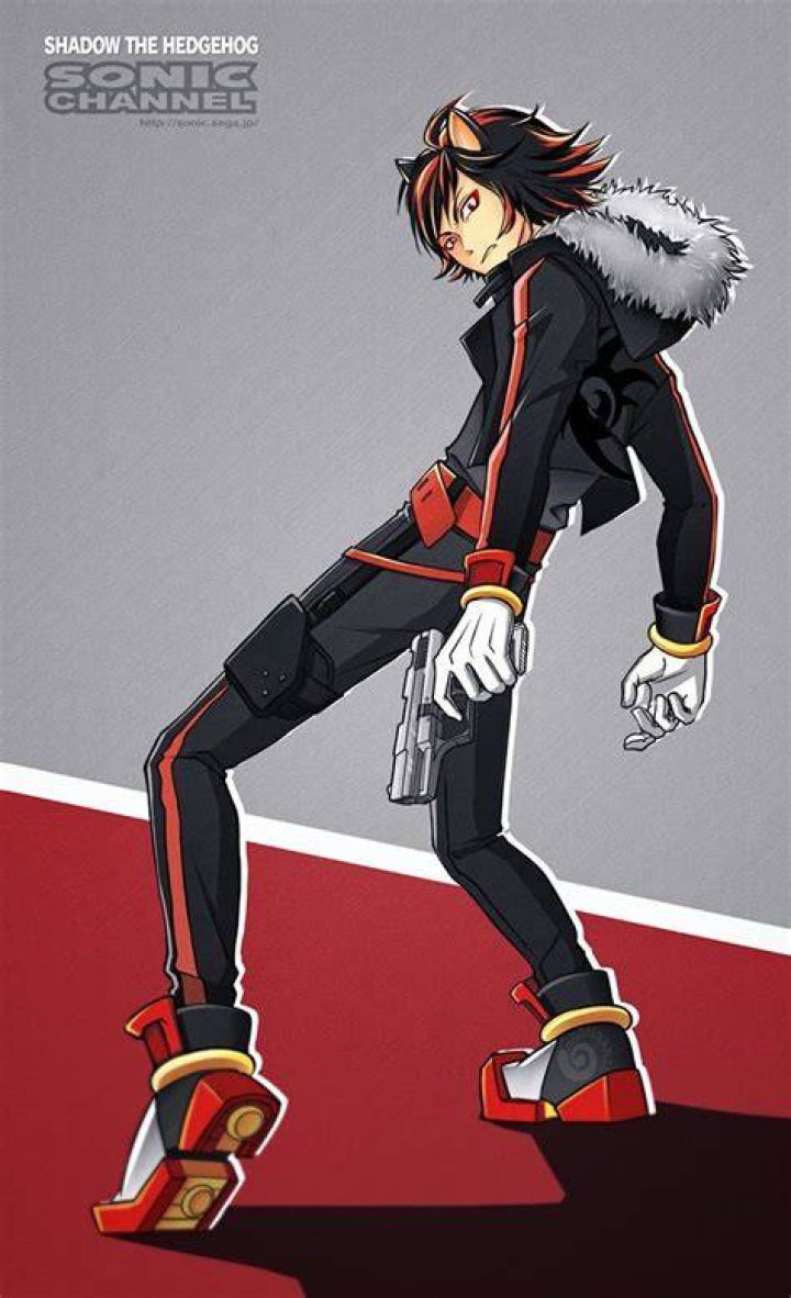 Shadow human Shadow The Hedgehog, Silver The Hedgehog, Hedgehog Art
