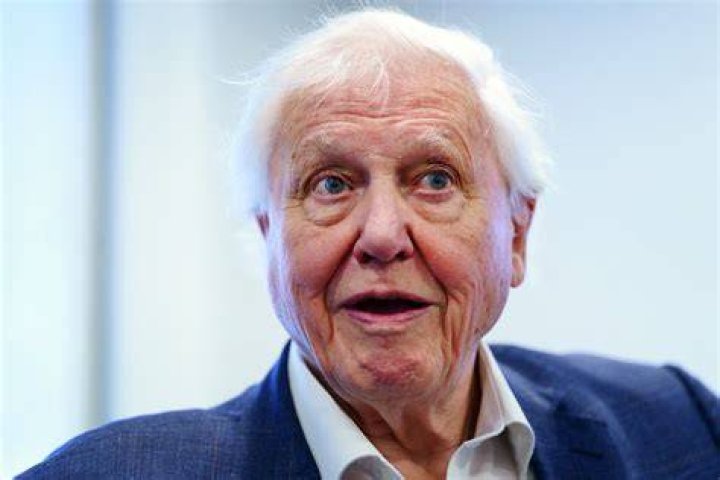 SILICON VILLAGE Sir David Attenborough&rsquo;s Debut with Series Zoo Quest