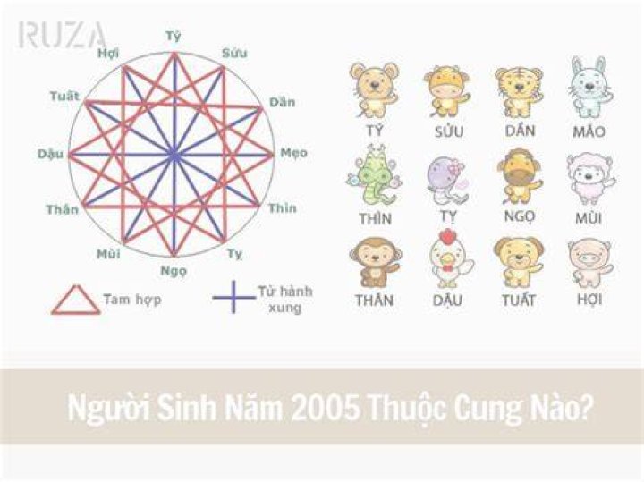 Sinh năm 2005 mệnh gì? hợp màu gì? mua xe đeo đá màu gì?