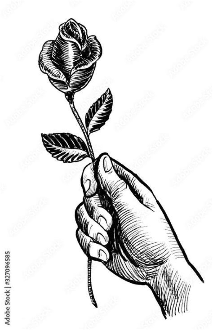 Sketch Hand Holding Flower Drawing Dibujos Meaningful Deprese Fairy