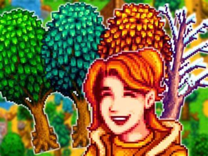 Stardew Valley Creator Confirms Another Update 1.6 Detail