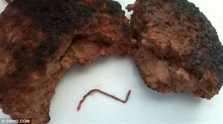 Tape Worm In Burger: A Health Risk Exposed