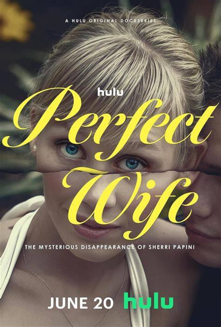 The Man S Perfect Wife Telegraph